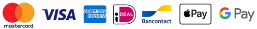 Accepted payment method icons for Homerun IPTV checkout